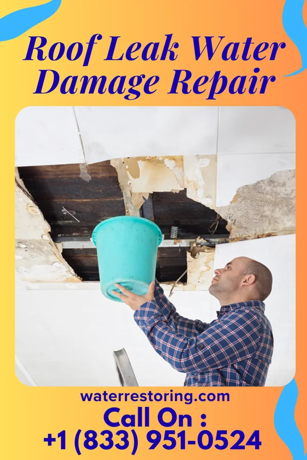 Roof Leak Water Damage Repair in Esterbrook, WY
