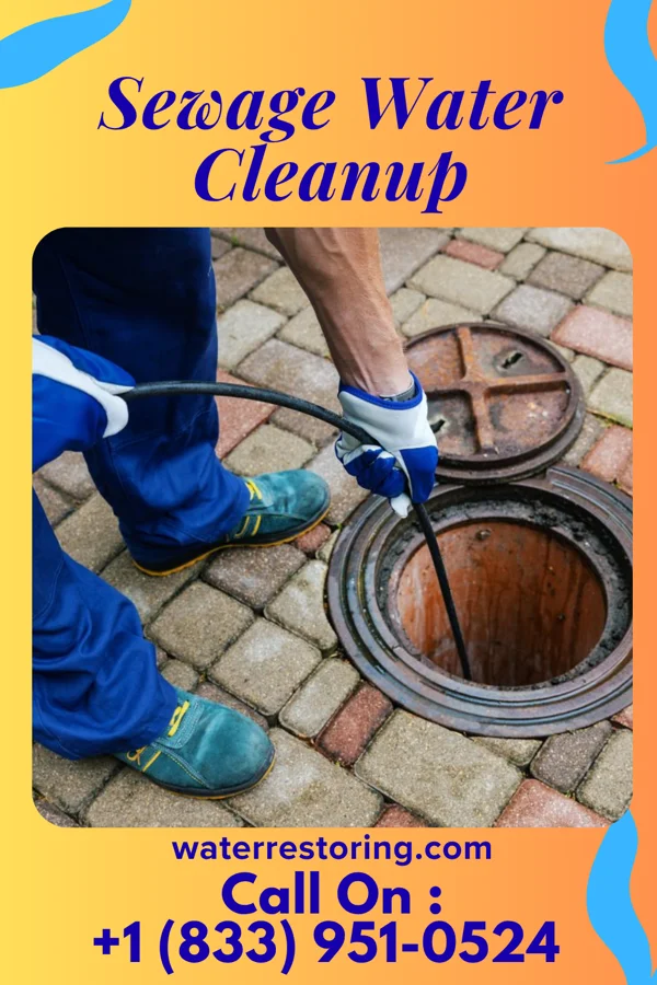 Sewage Water Cleanup in Esterbrook, WY
